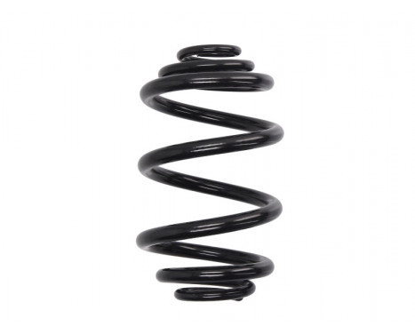 Coil Spring K-Flex RJ6189 Kayaba