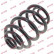Coil Spring K-Flex RJ6197 Kayaba