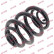 Coil Spring K-Flex RJ6205 Kayaba