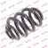 Coil Spring K-Flex RJ6206 Kayaba