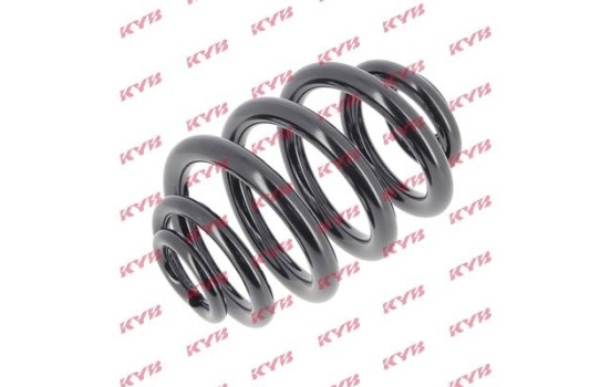 Coil Spring K-Flex RJ6206 Kayaba