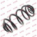 Coil Spring K-Flex RJ6222 Kayaba