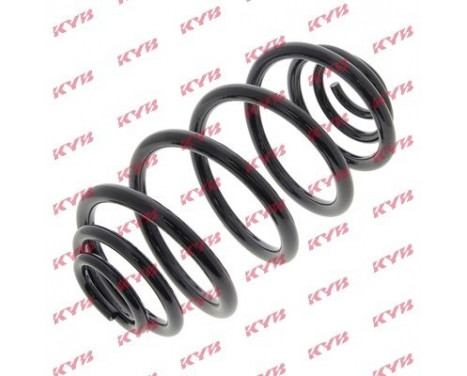 Coil Spring K-Flex RJ6642 Kayaba
