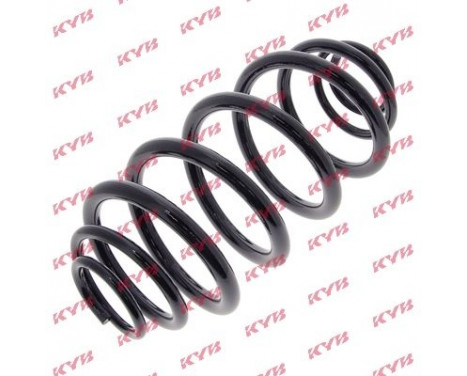 Coil Spring K-Flex RJ6665 Kayaba