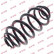 Coil Spring K-Flex RJ6665 Kayaba
