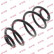Coil Spring K-Flex RX6360 Kayaba