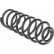 Coil Spring MONROE OESpectrum SPRINGS SP3741