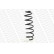 Coil Spring MONROE OESpectrum SPRINGS SP3909, Thumbnail 5