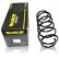 Coil Spring MONROE SPRINGS SE0272