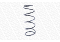 Coil Spring MONROE SPRINGS SE2402