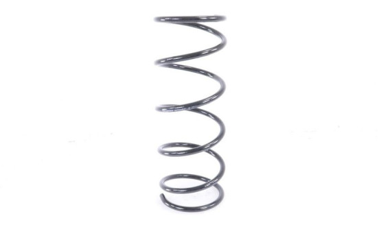 Coil Spring MONROE SPRINGS SE2457, Image 2