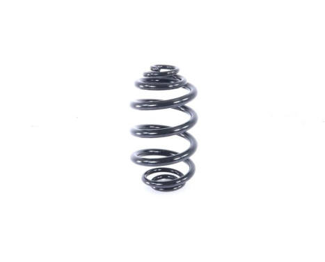 Coil Spring MONROE SPRINGS SN3619, Image 2