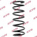 Coil Spring RA1014 Kayaba