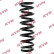 Coil Spring RA1039 Kayaba