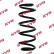 Coil Spring RA1097 Kayaba