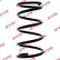 Coil Spring RA1100 Kayaba
