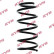 Coil Spring RA1116 Kayaba