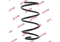 Coil Spring RA1187 Kayaba
