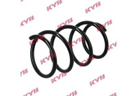 Coil Spring RA4007 Kayaba