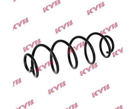 Coil Spring RA5010 Kayaba, Image 2