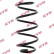 Coil Spring RA5030 Kayaba