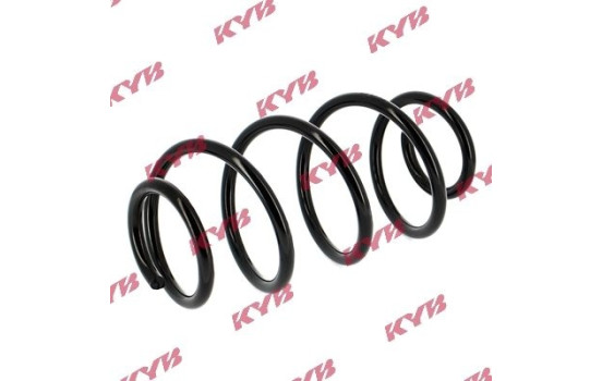 Coil Spring RA5030 Kayaba, Image 2