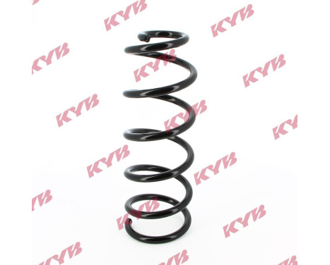 Coil Spring RA5049 Kayaba