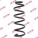 Coil Spring RA5050 Kayaba