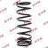 Coil Spring RA5059 Kayaba
