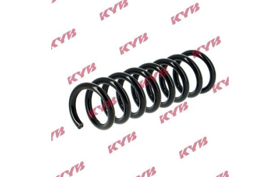 Coil Spring RA5066 Kayaba, Image 2