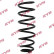 Coil Spring RA5086 Kayaba