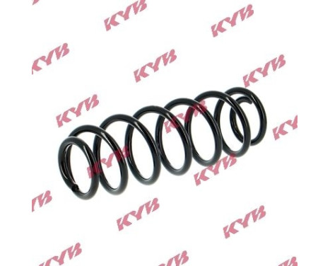 Coil Spring RA5103 Kayaba, Image 2