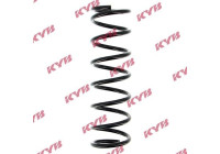 Coil Spring RA5106 Kayaba