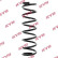 Coil Spring RA5106 Kayaba
