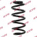 Coil Spring RA5110 Kayaba