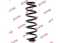 Coil Spring RA5113 Kayaba