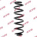 Coil Spring RA5113 Kayaba