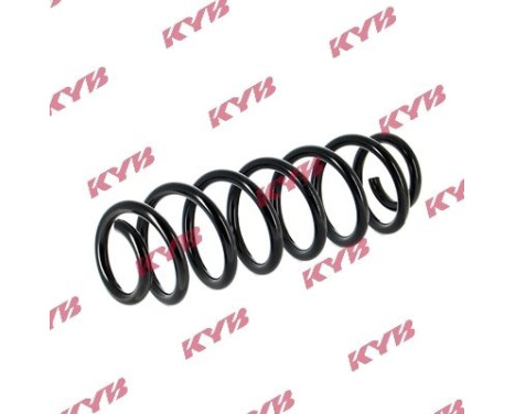 Coil Spring RA5113 Kayaba, Image 2
