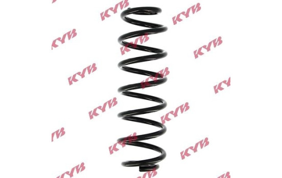 Coil Spring RA5118 Kayaba