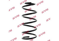 Coil Spring RA7131 Kayaba