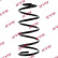 Coil Spring RA7131 Kayaba