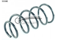 Coil Spring