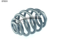 Coil Spring