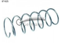 Coil Spring