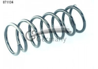 Coil Spring