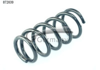 Coil Spring