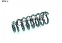 Coil Spring