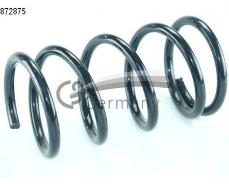 Coil Spring, Image 2