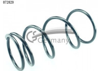 Coil Spring