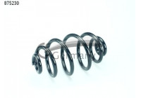 Coil Spring